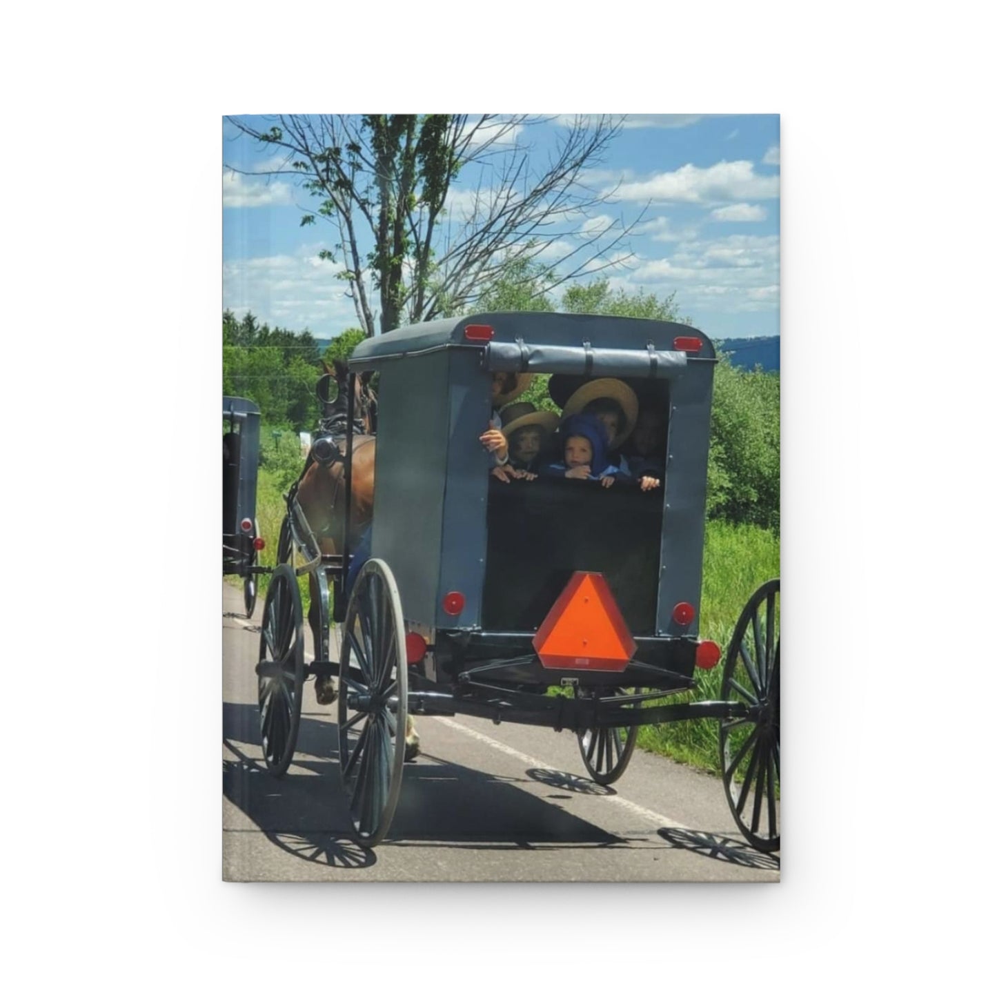 Amish Children Journal