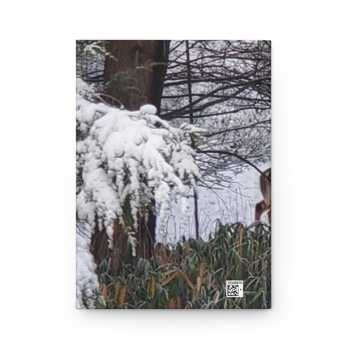 Deer Night Time in Snow Journal