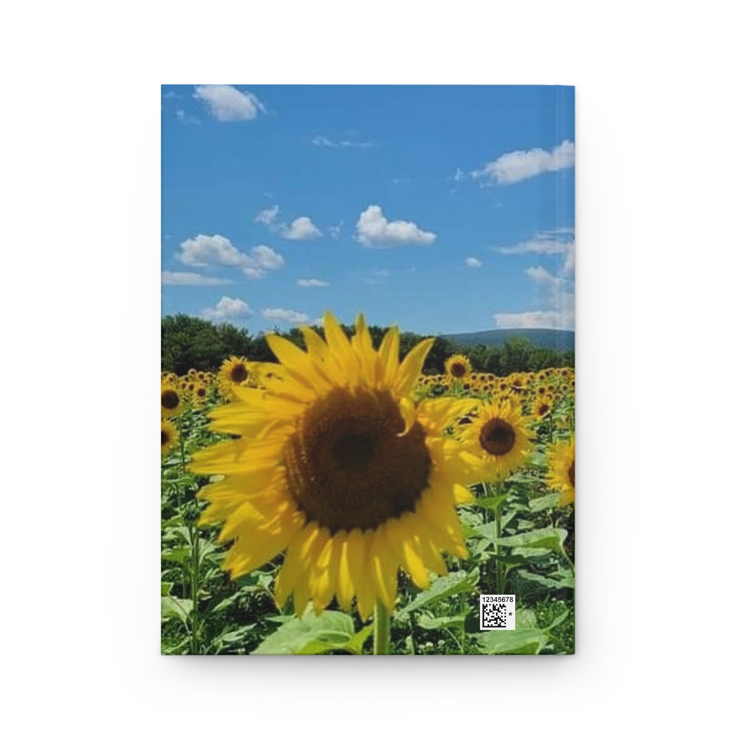 Sunflower Field Journal