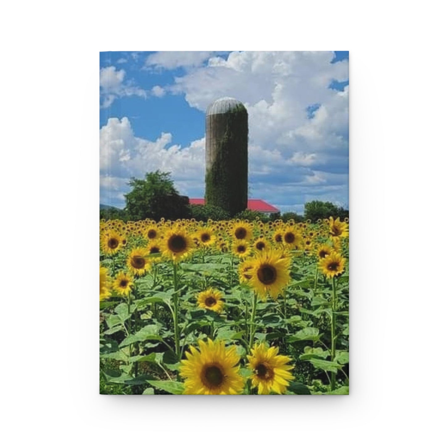 Sunflower Field Journal