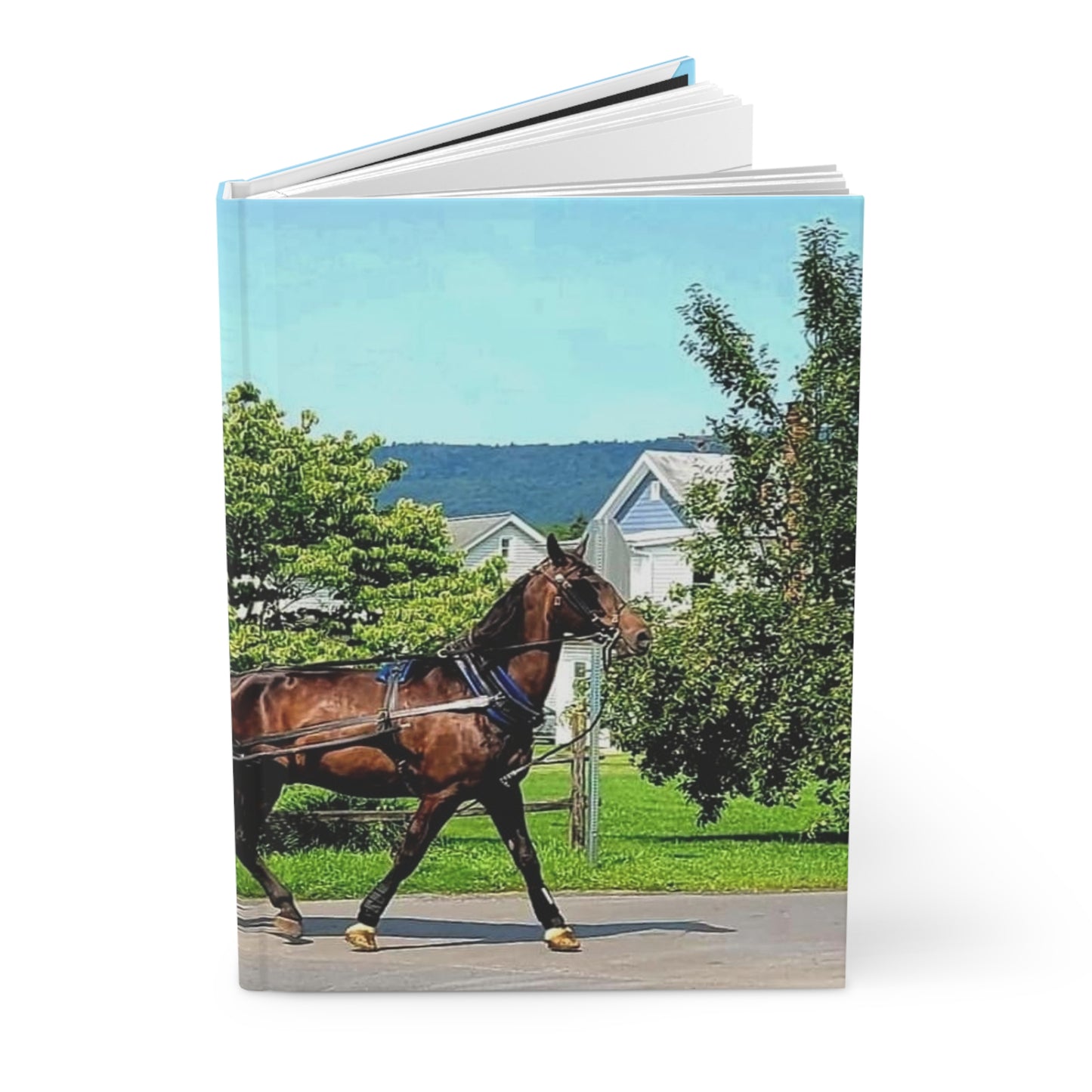 Amish Buggy Journal