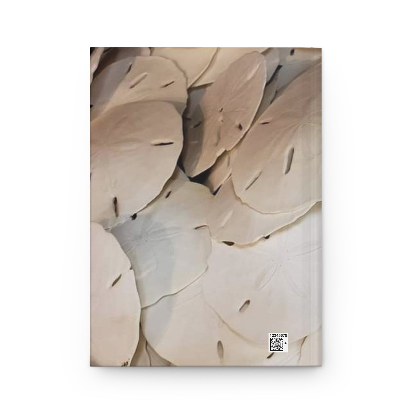 Seashells Sand Dollars Journal