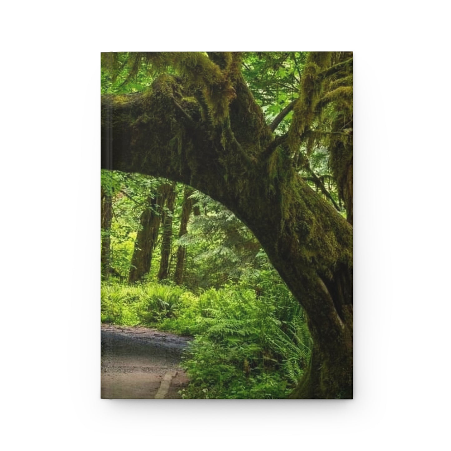 Nature Arch Tree Journal