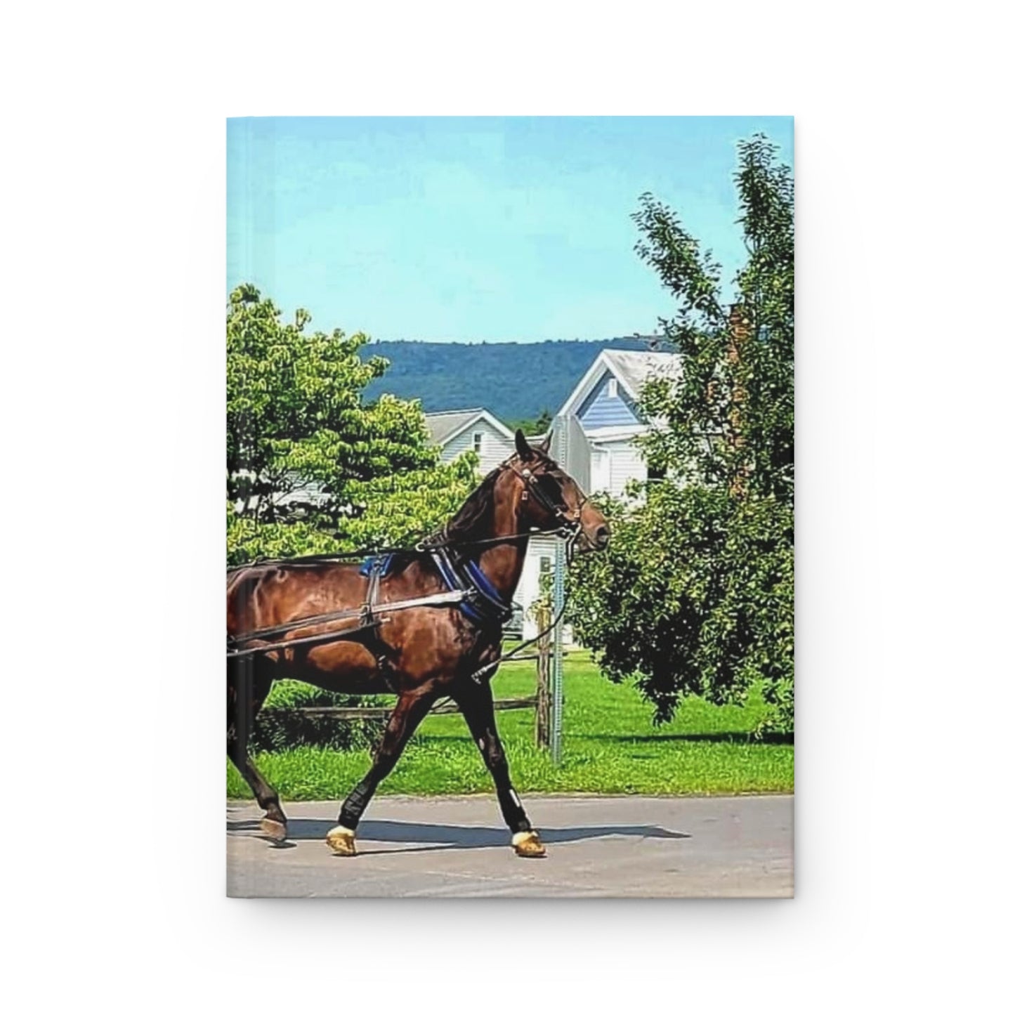 Amish Buggy Journal