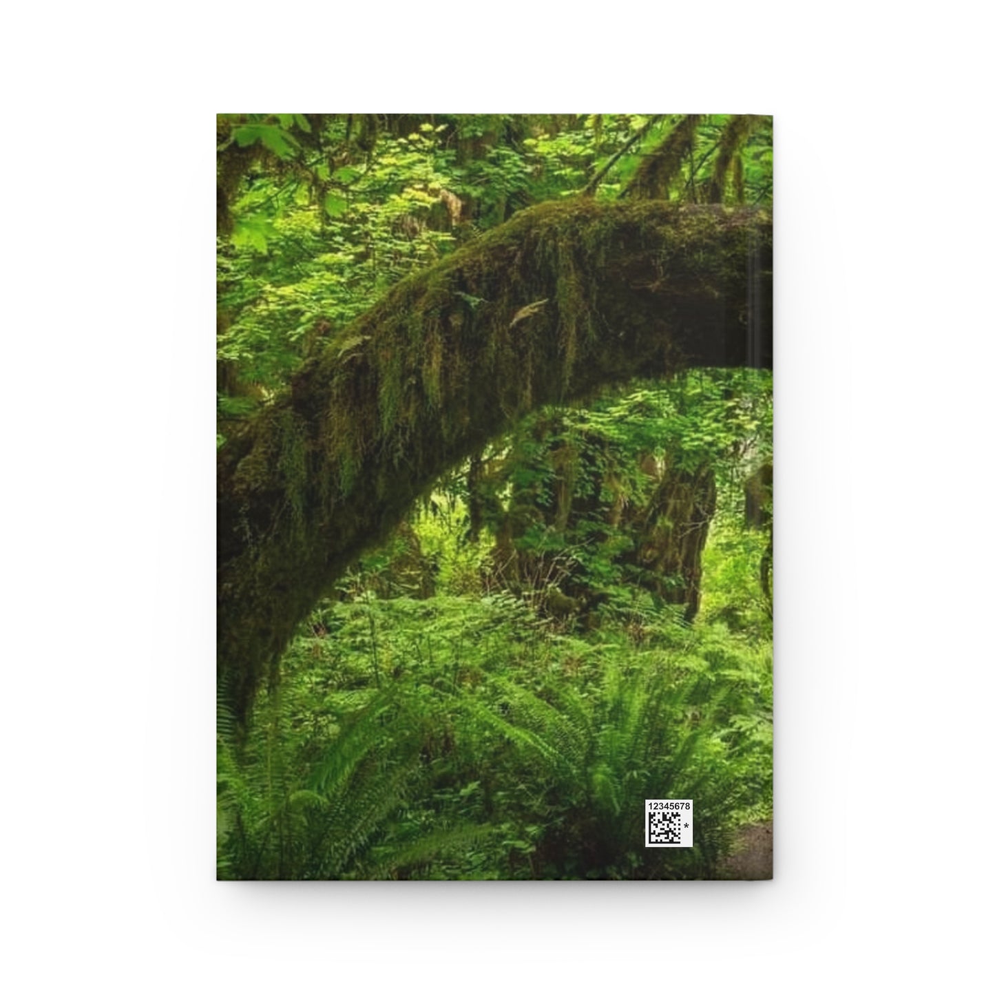 Nature Arch Tree Journal