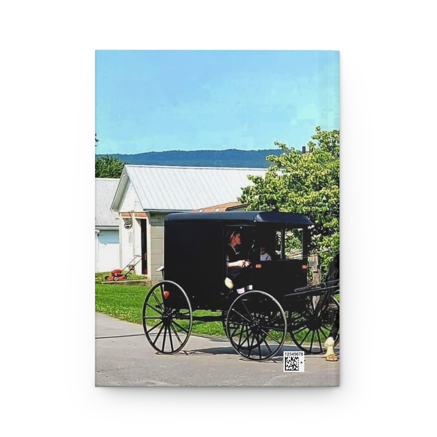 Amish Buggy Journal