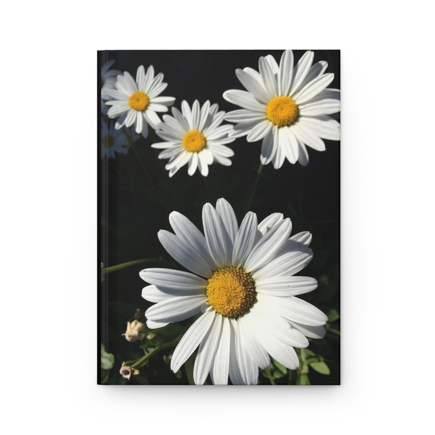 Flowers Daisies Journal