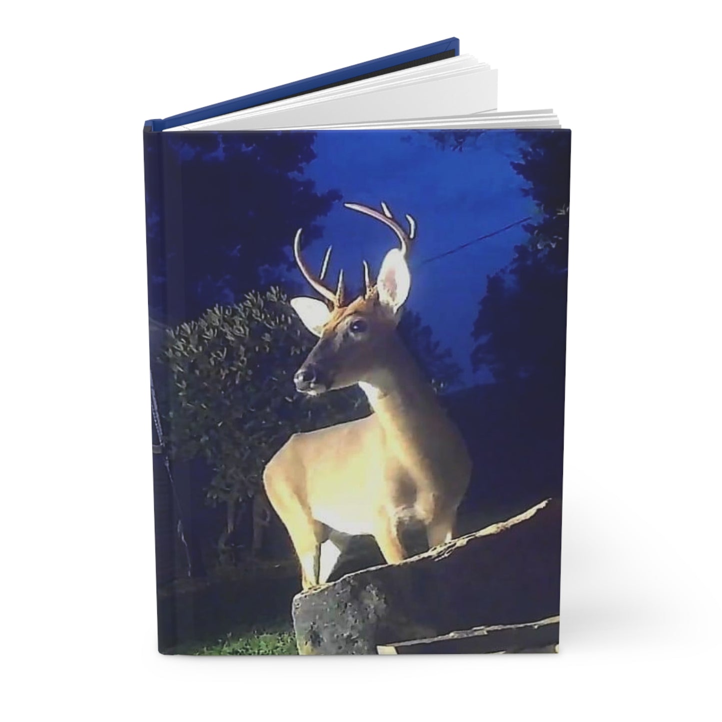 Winter Buck Journal