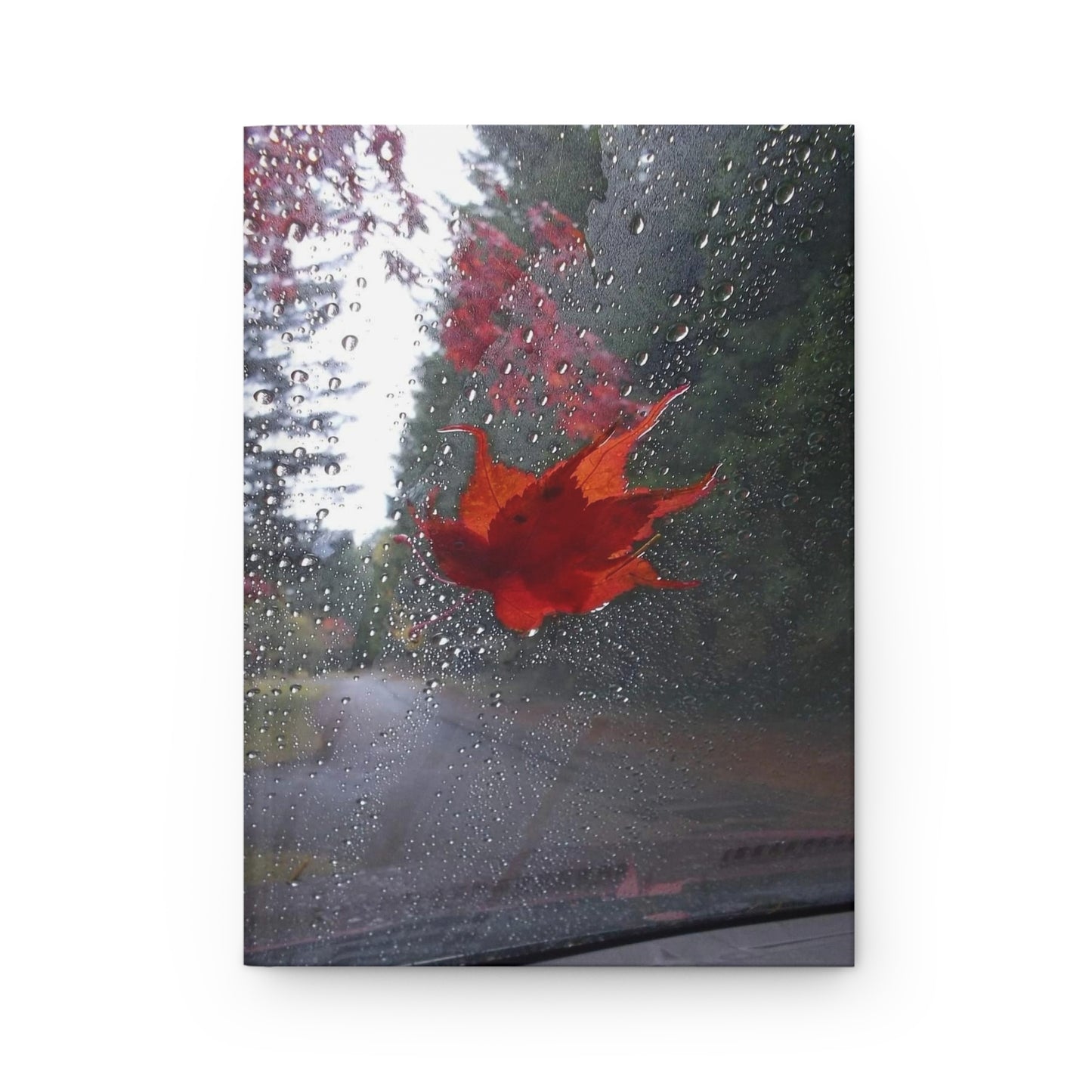 Rain with Leaf Journal