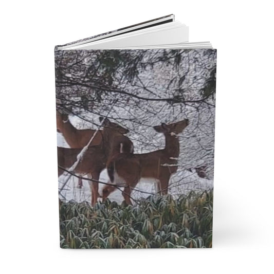 Deer Night Time in Snow Journal