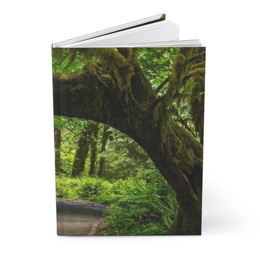 Nature Arch Tree Journal